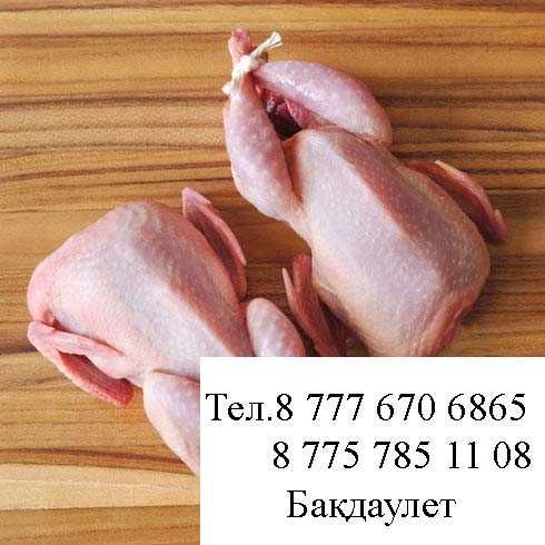 Бөдене еті, Мясо перепелки