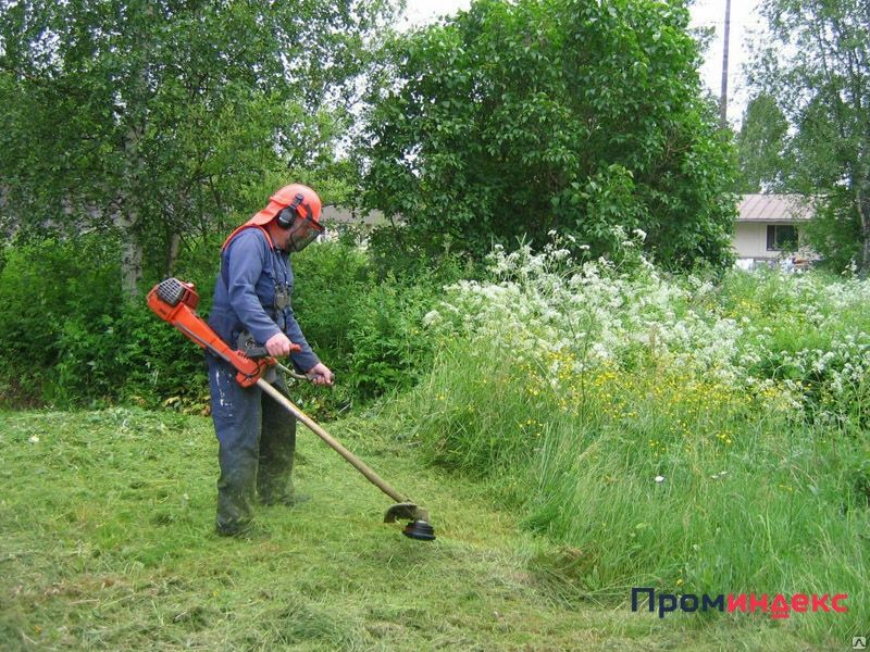 Покос травы. Стрижка газона