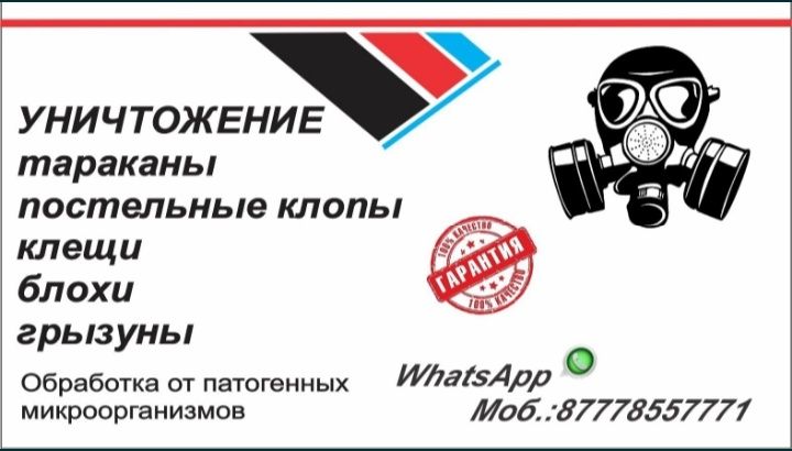 Дезинфекция обработка уничтожение тараканы постельные клопы