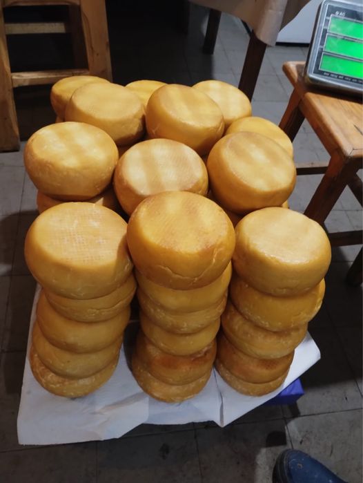 Caș afumat!Produs bio 100%