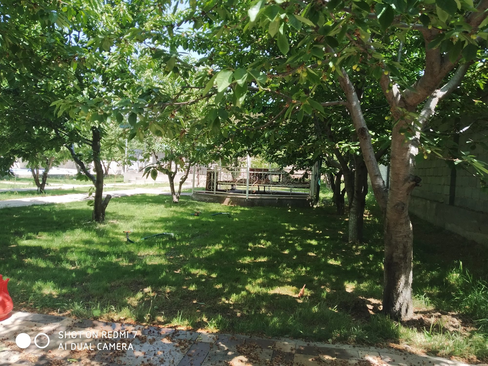 Dacha faqat Oilavilar uchun