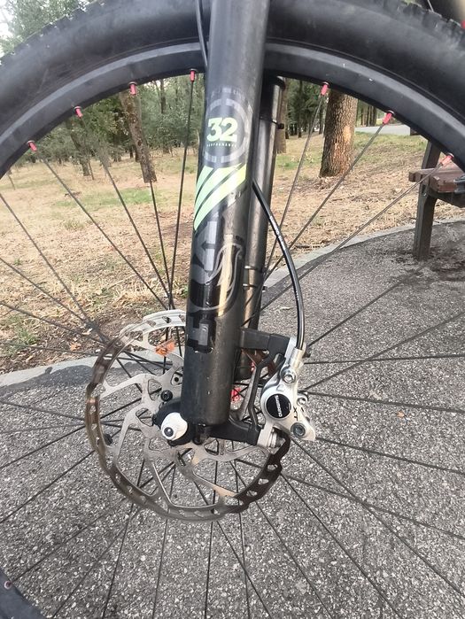 Olympia full carbon "29