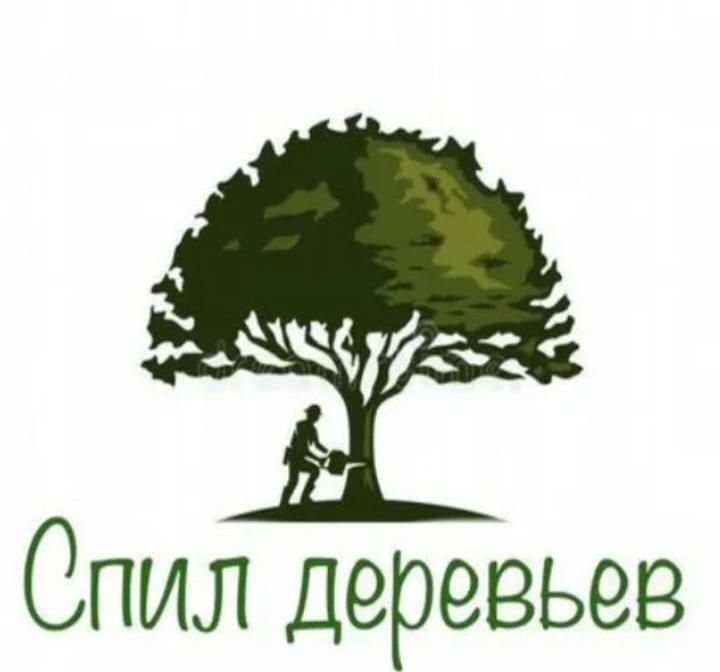 Кронирование деревьев, спил сухих и опасных деревьев.