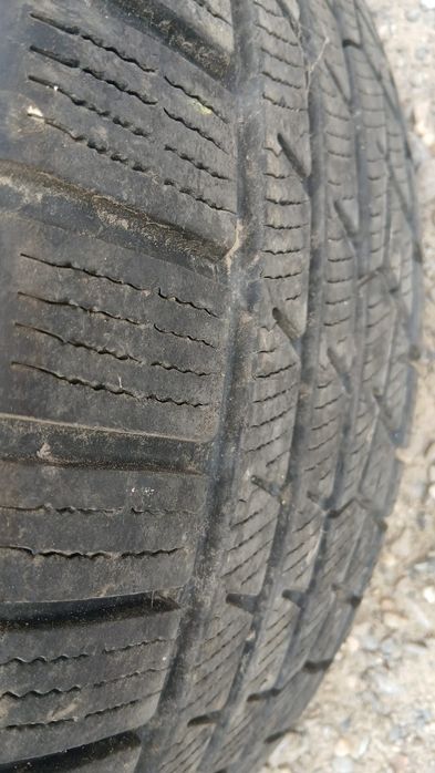 Genți și cauciucuri