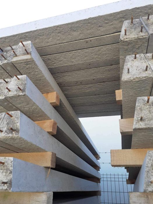 Stalpi gard tip șpalier