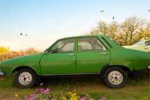 Vand Dacie 1310 an 1984