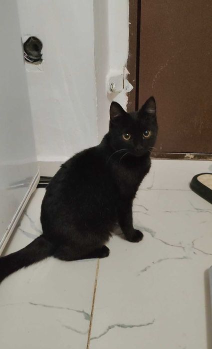 Трогательная малышка ищет дом