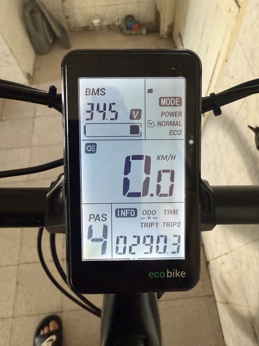 Електрически Велосипед EcoBike