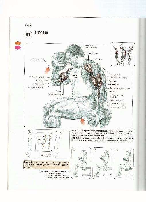 Cartea Anatomia unui corp perfect cu transport inclus cu posta romana