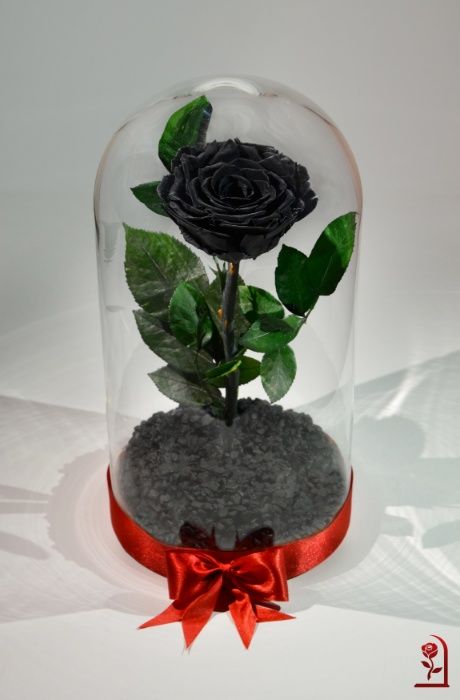 Естествена ЧЕРНА Вечна Роза в Стъкленица / Оригинален Подарък за Жена