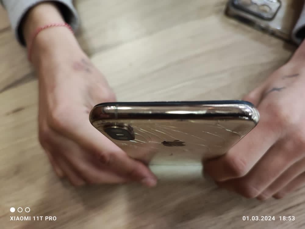 iPhone XS       100