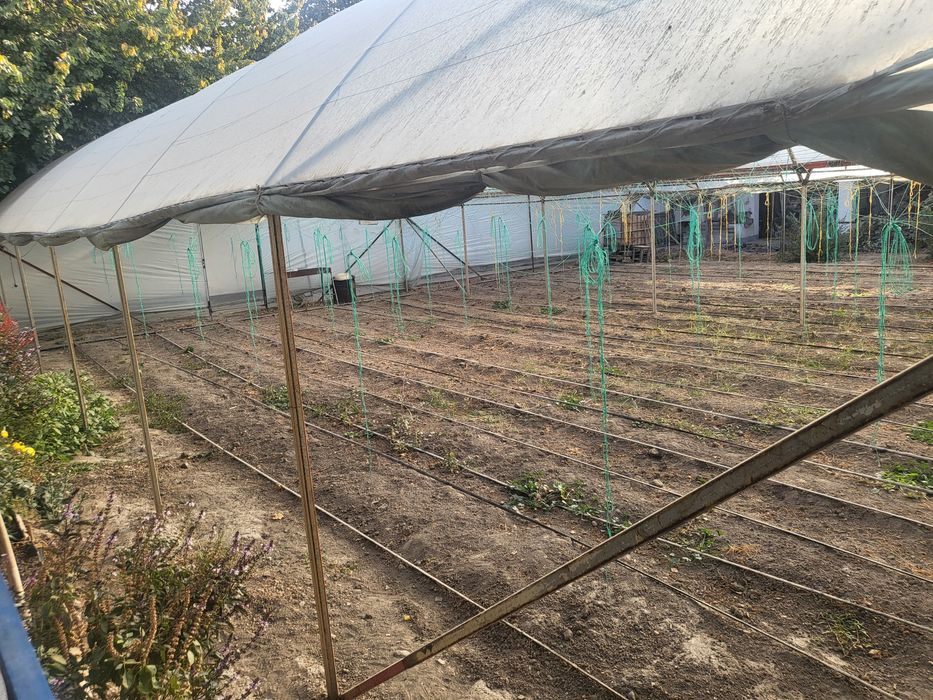 Агарод сад парник