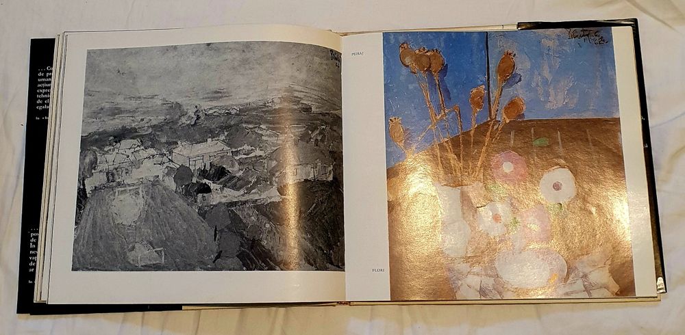 Piliuta / MirceaGrozdea1980