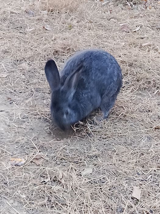Сатылады обмен бар