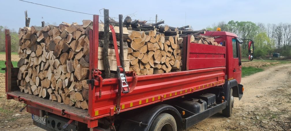 Carbune lignit si lemne de foc