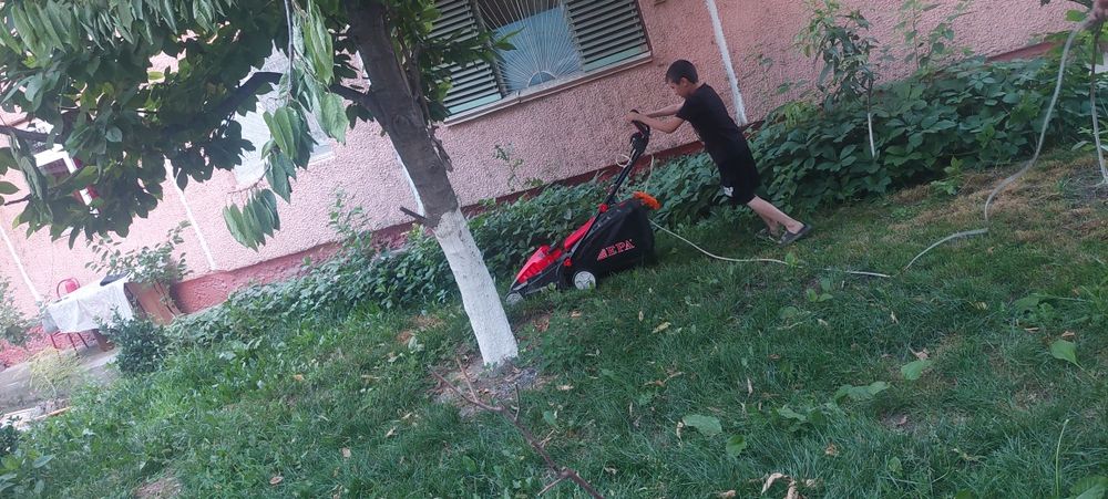 Газон кесиш хизматимизни таклиф этамиз.