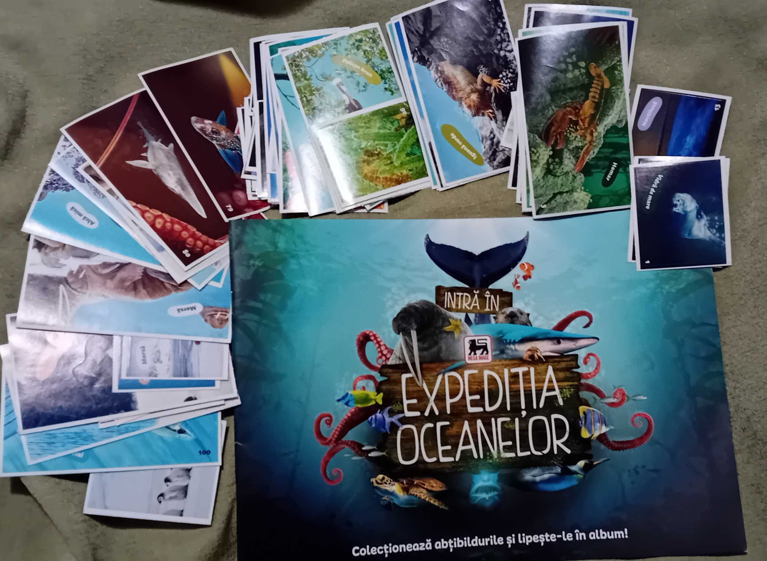 Expediția oceanelor album + abtibilduri