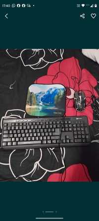 Mouse, mouse pad și tastatura