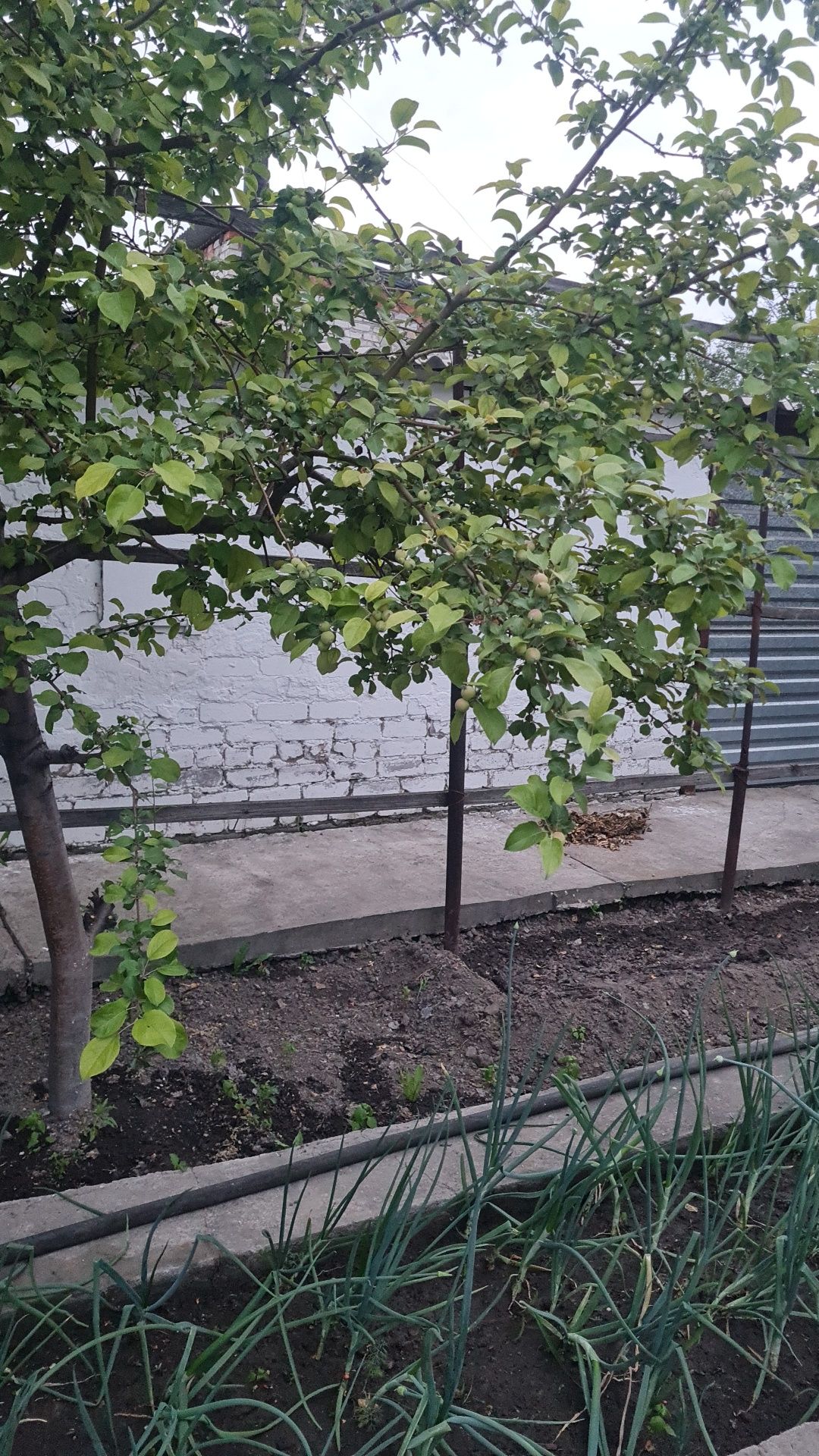 Продам дом.поселок Восход район таймас  улица Заливная 42
