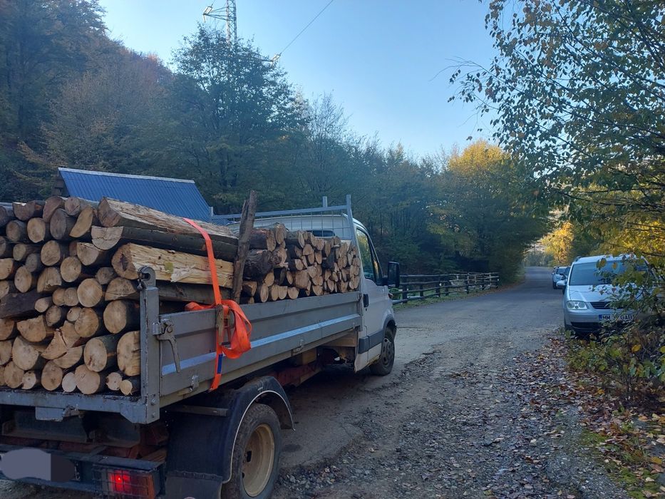 Vand lemne de foc fag crăpături