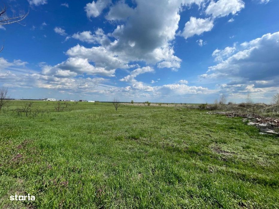 Teren intravilan 10013mp Pielesti DN65