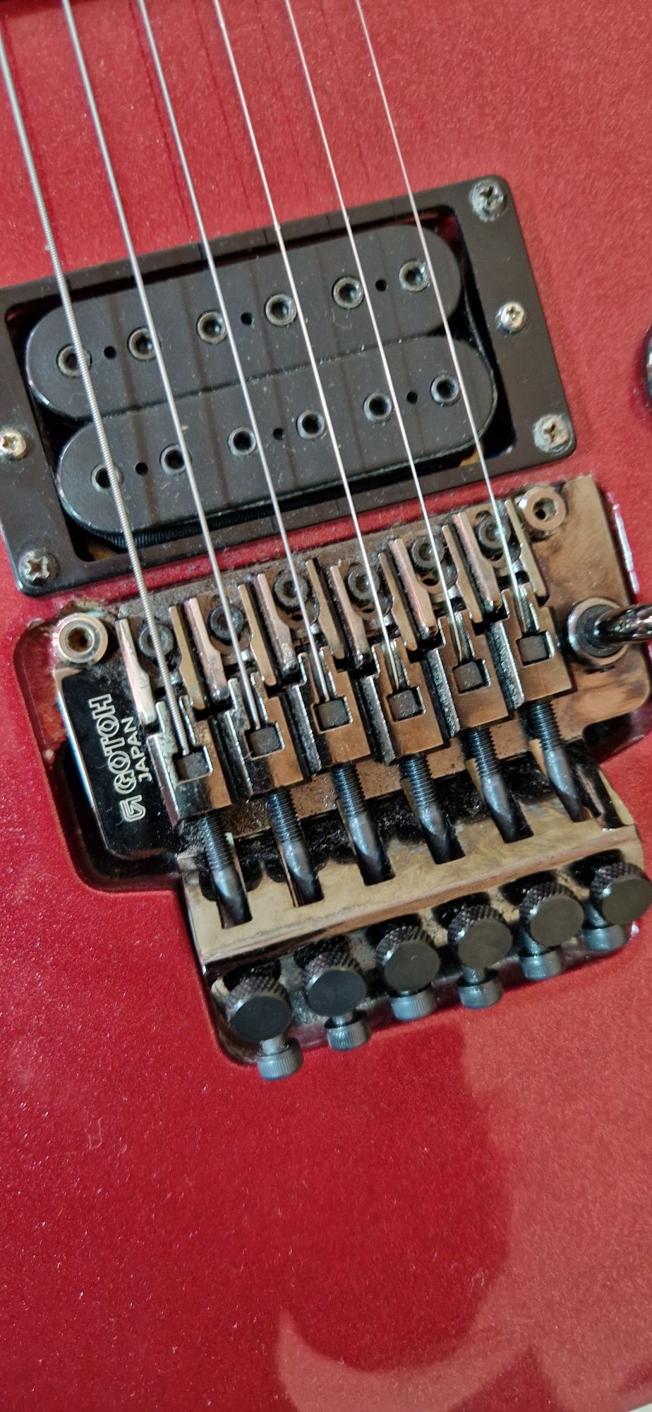 Chitara Electrica Ibanez RG320DX