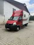 Trasport cai animale autorizat 3,5t