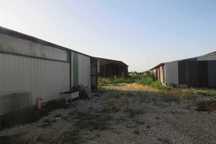 inchiriere hale productie/industrie