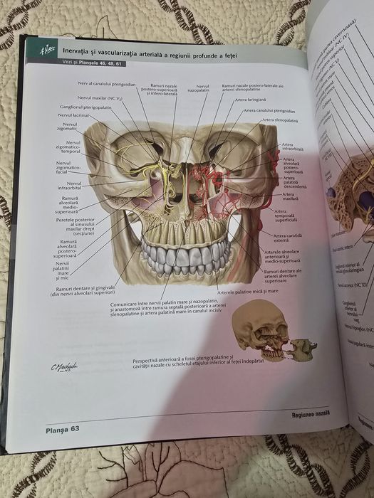 Atlas Netter ediția 7