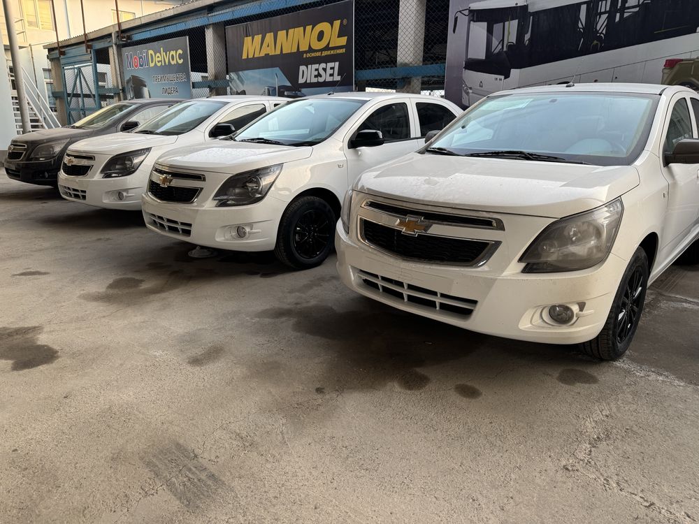 Cobalt midnight Avtokredit birlamchi 2025 счет спрака нотариус ичида