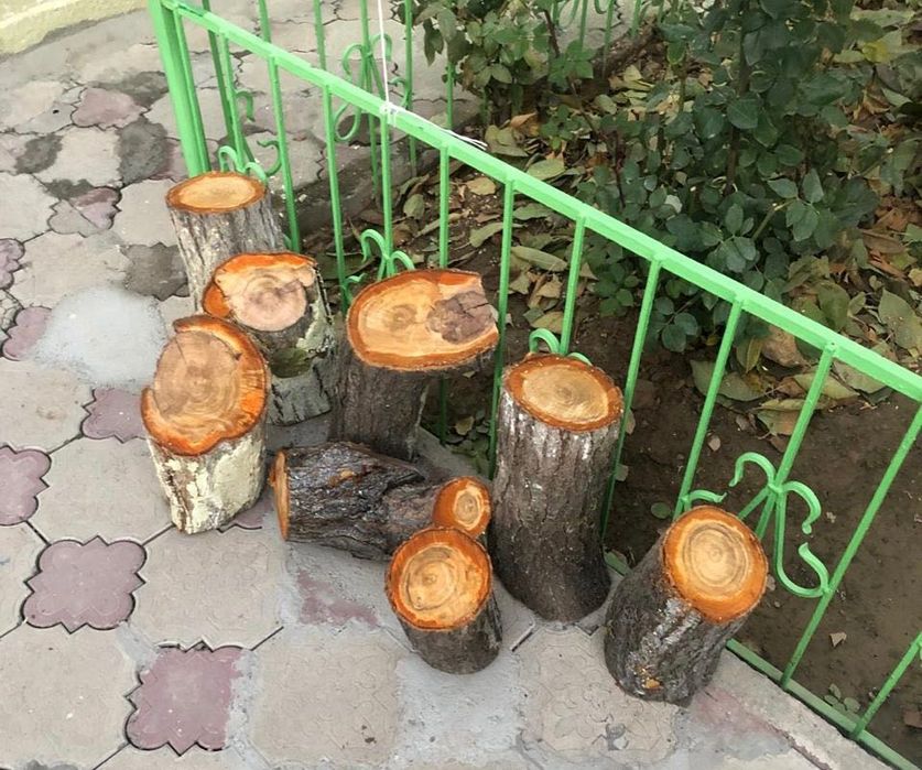 Фруктовые деревья