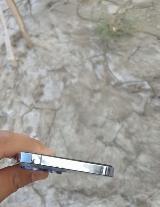 iPhone 13 Pro Max 256/100%