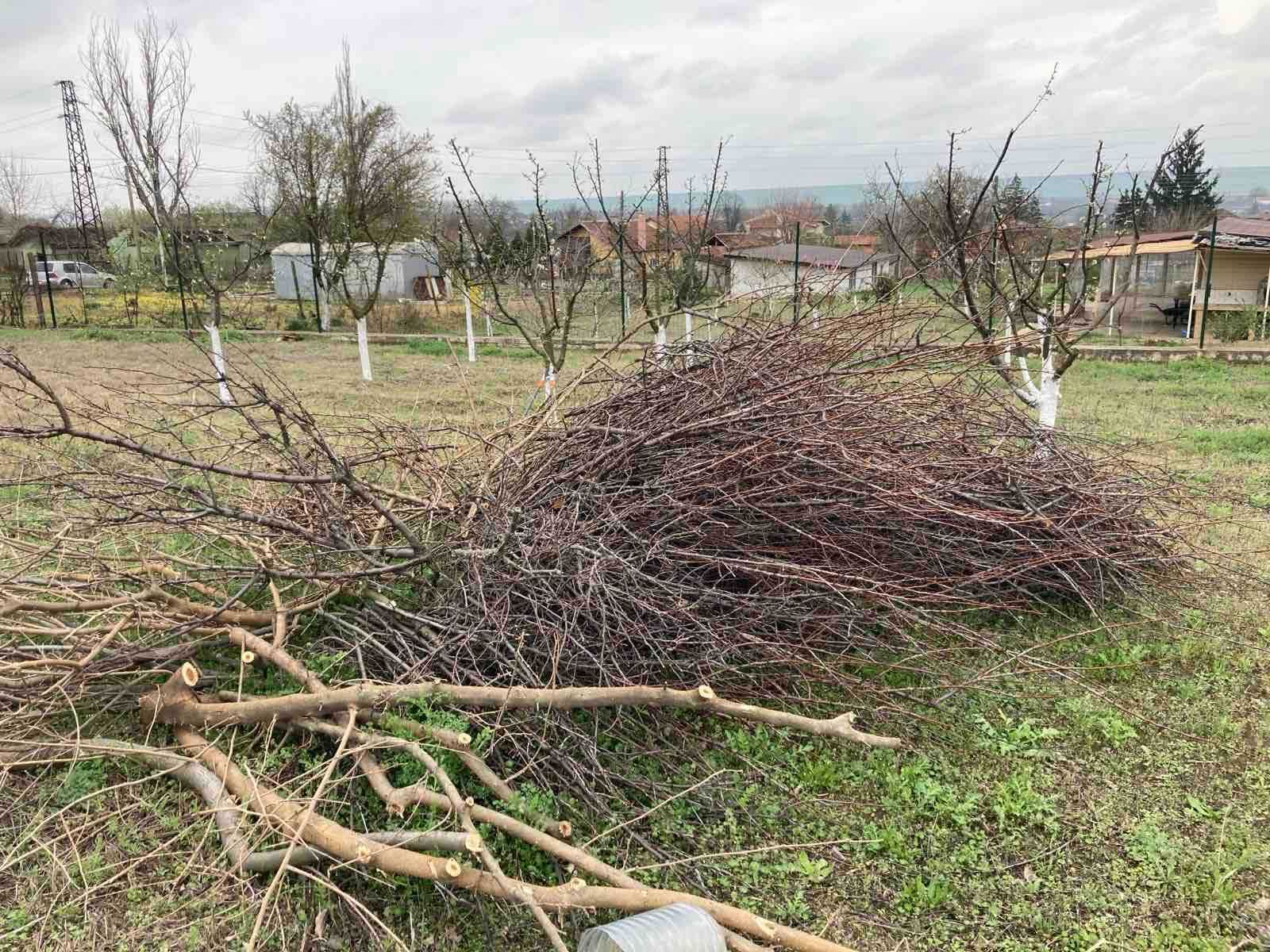 Почистване на парцели от растителност
