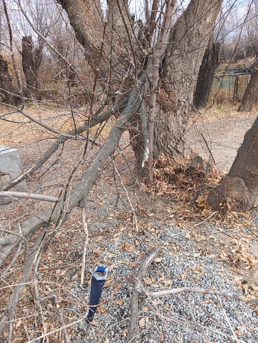 Утин болор сотилади