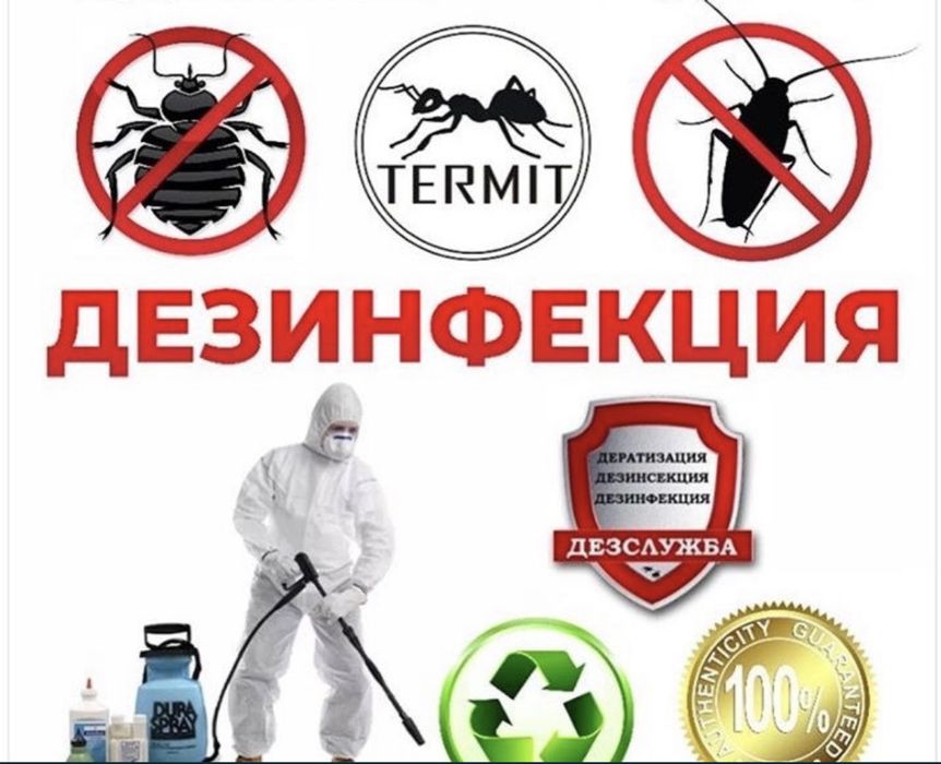 Дезинфекция Кандала улау обработка от насекомых термиты клопы тараканы