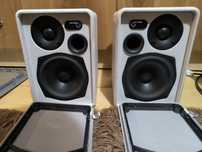 Boxe active Audio Pro ,audioengine