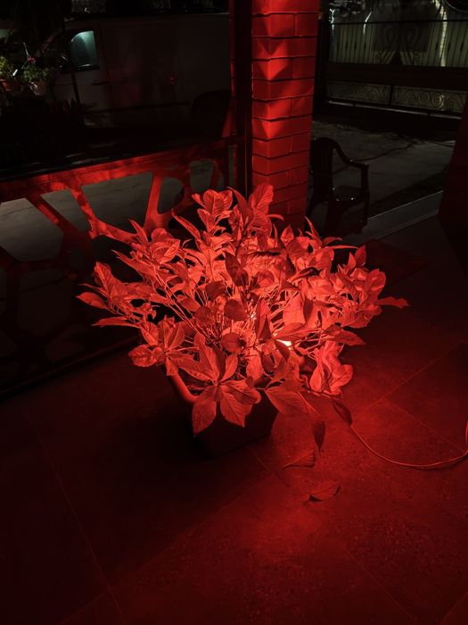 Proiector RGB IP66 ,10W,