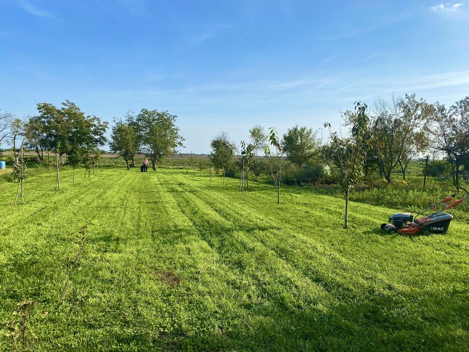 Casă de vânzare in Peciu Nou, la 17 km de Timișoara