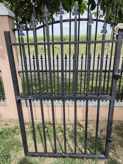 Poarta de Fier 100x170