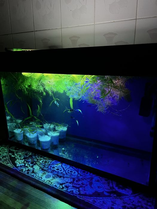 Аквариум 100 литровый   продается срочно