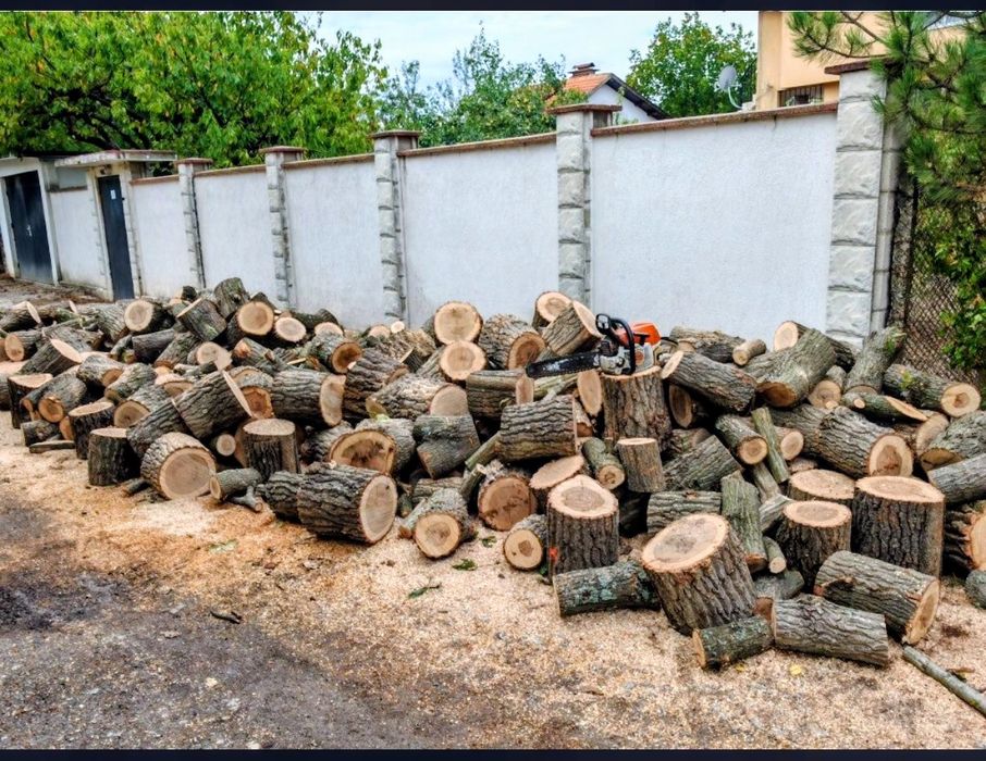 Рязане на дърва за огрев и кастрене на дървета