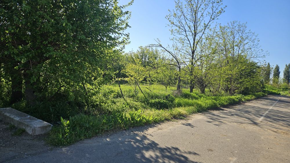 Vand teren intravilan Comuna Chirnogi