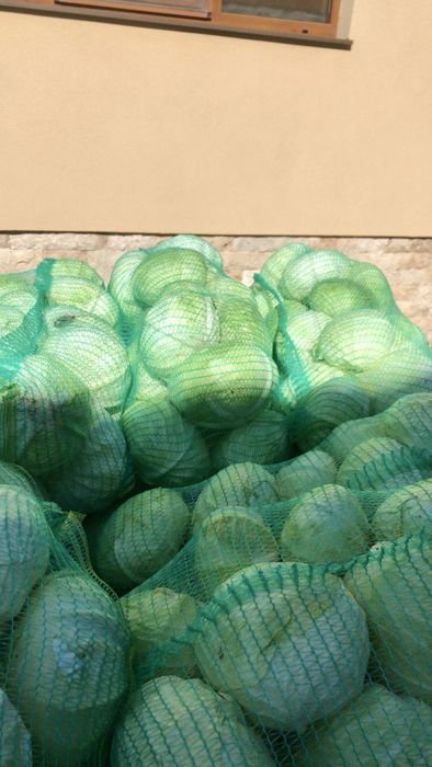Varza cu frunza subtire - de la producator