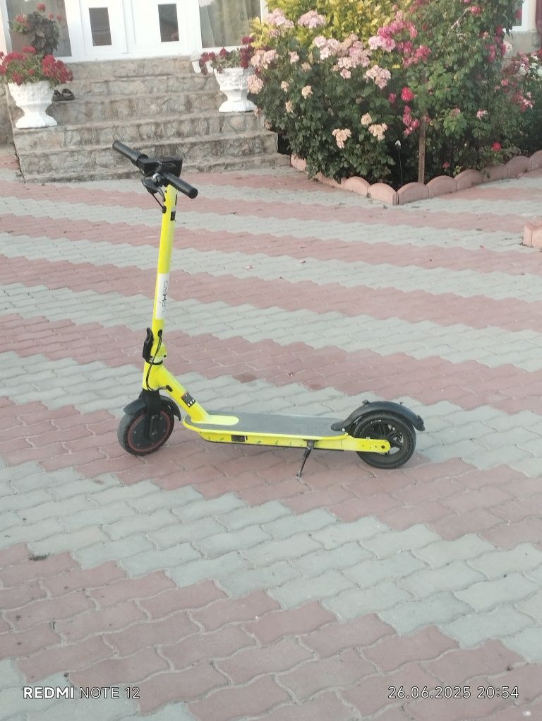 Trotinetă Lexgo verde