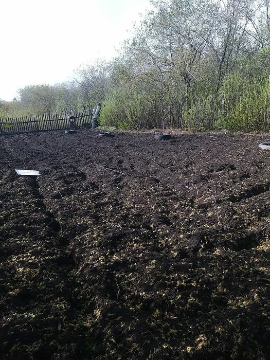 Дача, общество Новинка