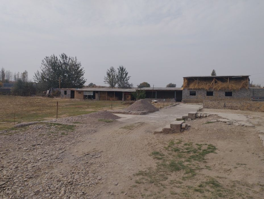 3xonali kafolati bilan