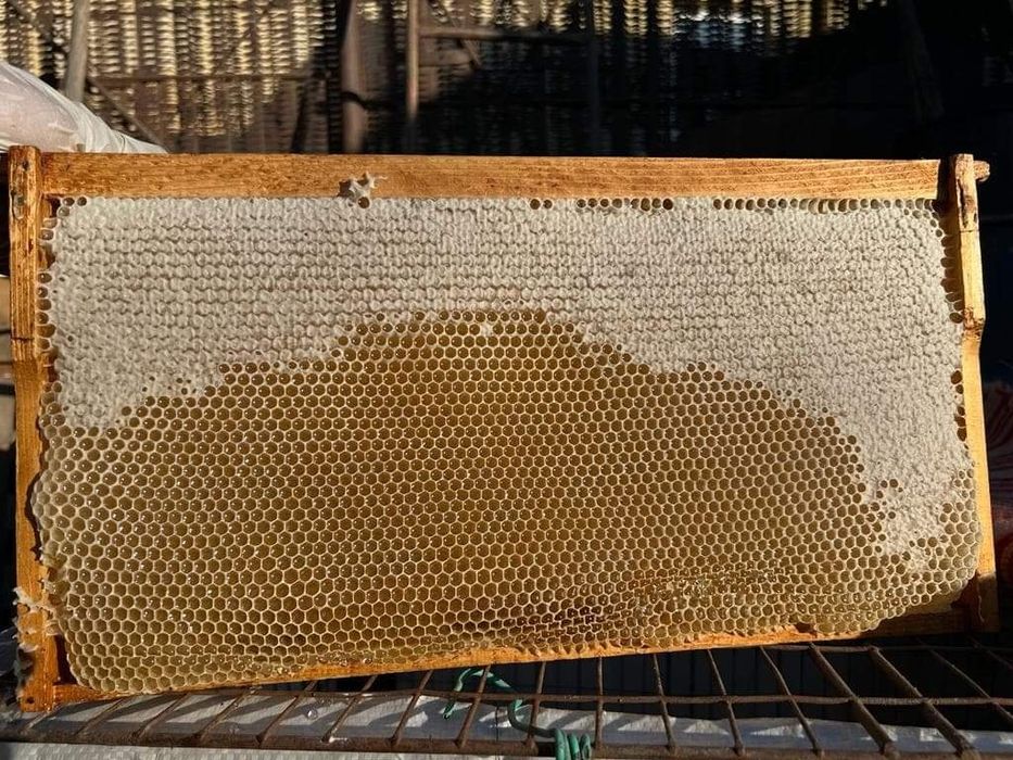 Vand miere naturala de mana, rapita si poliflora