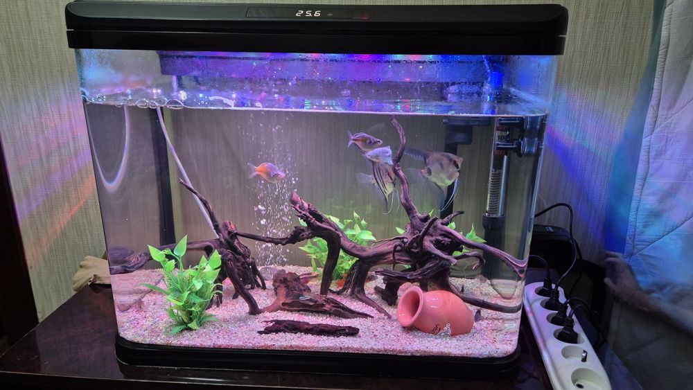 Продам свой аквариум на 72 литра