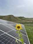 Montaj panouri fotovoltaice ( solare )