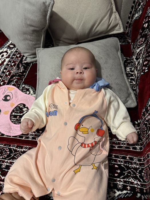 Честор кухнний угалоклар Янгисидан